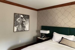 Lewis Art Consulting IDC Building Denver