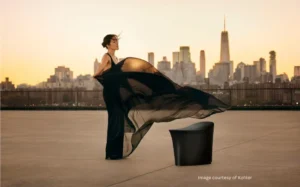 Kohler Smart Toilet Ultra Design Center